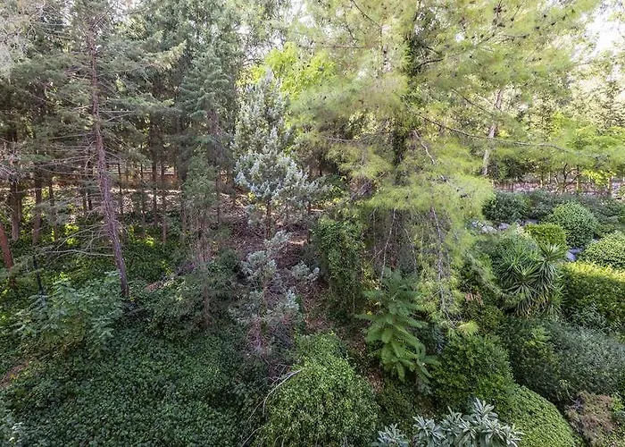 Labranda Mares * Μαρμαρίς